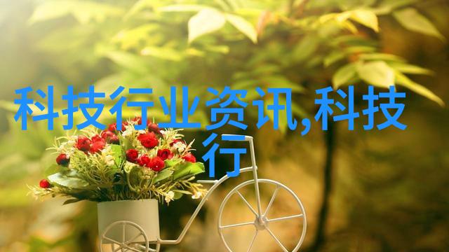 了解雏菊花语它是如何成为爱情象征的