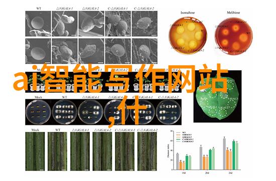 厨卫大改造找哪家公司别忘了色彩也能帮你挑选