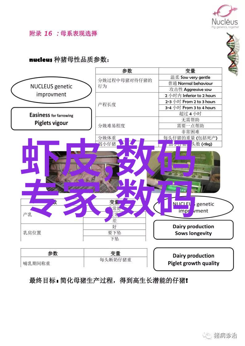 数字霸主云端征途