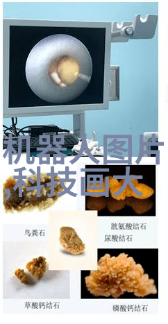 电蒸汽发生器蒸箱我是怎么把家里的饭变得香气四溢的