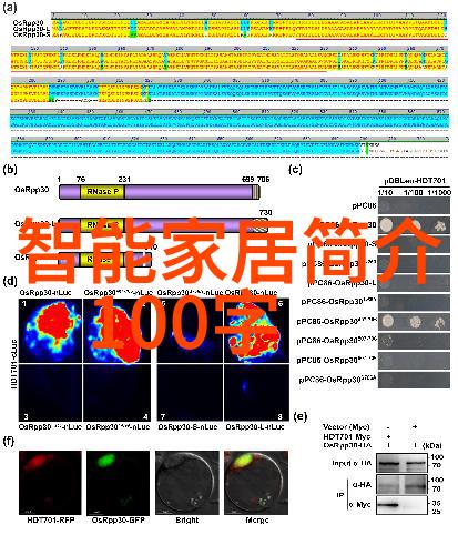 智能革命前沿科技2023的新篇章