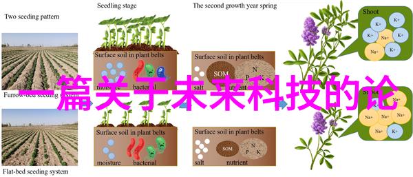 数码暴龙手游最新版本更新亮点增强实时对战体验与新角色解锁