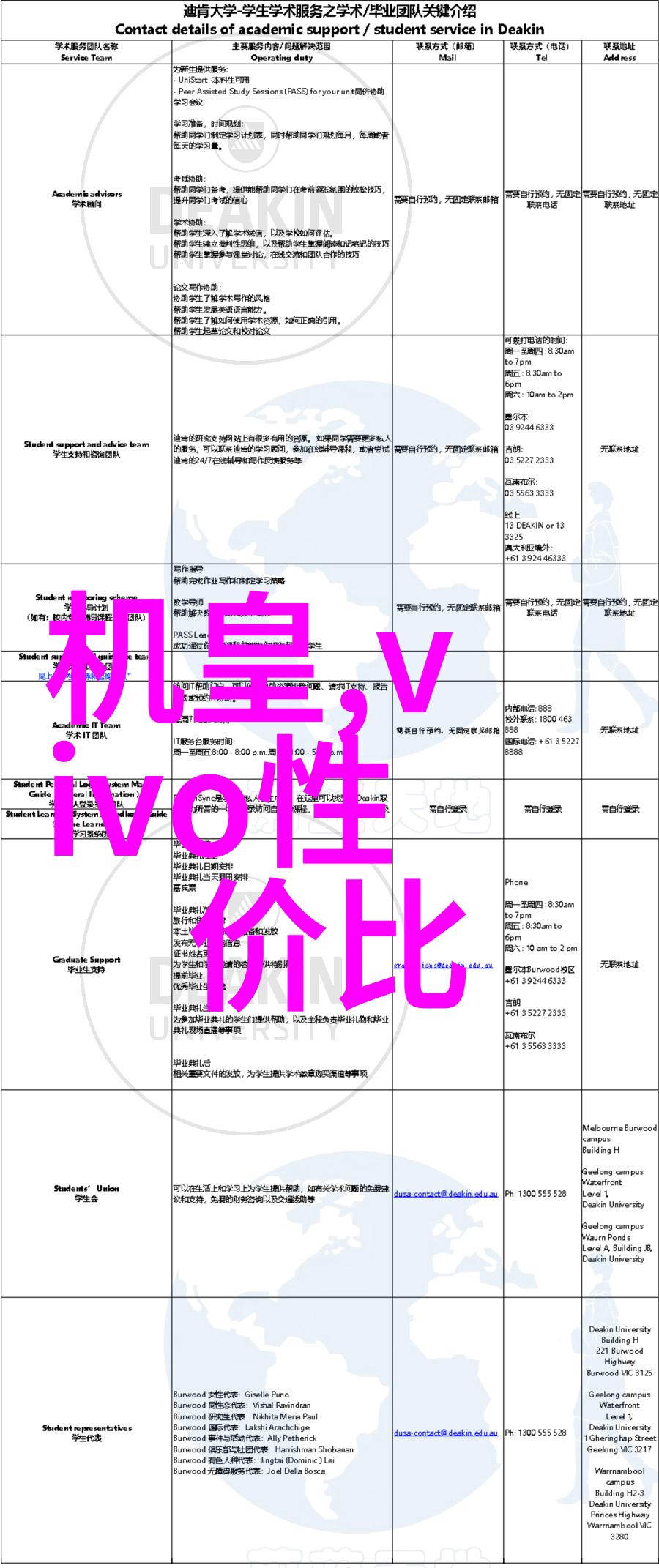 我在神雕修仙江湖路漫漫