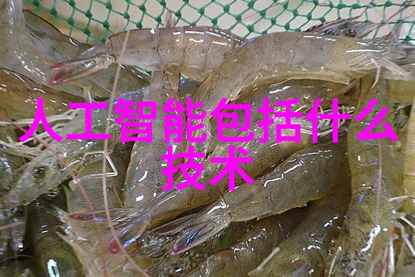 塑料的新篇章从废旧到精细造粒