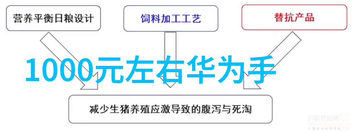 科技产品评测-2022年性价比高的智能手表选择最合适的伴侣