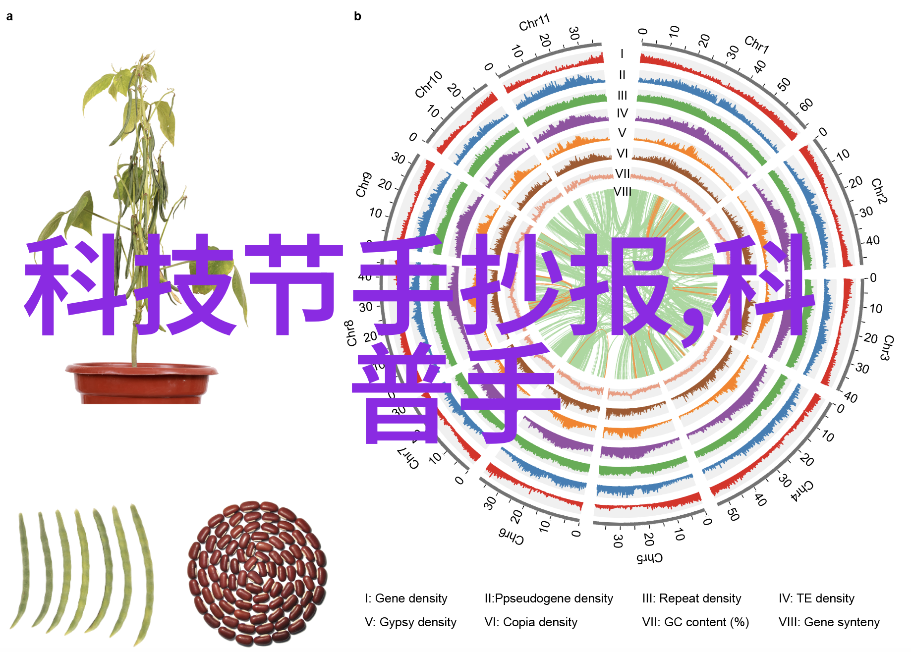 数码发烧友网站我是怎么在网上找到那台心仪的旧游戏机的