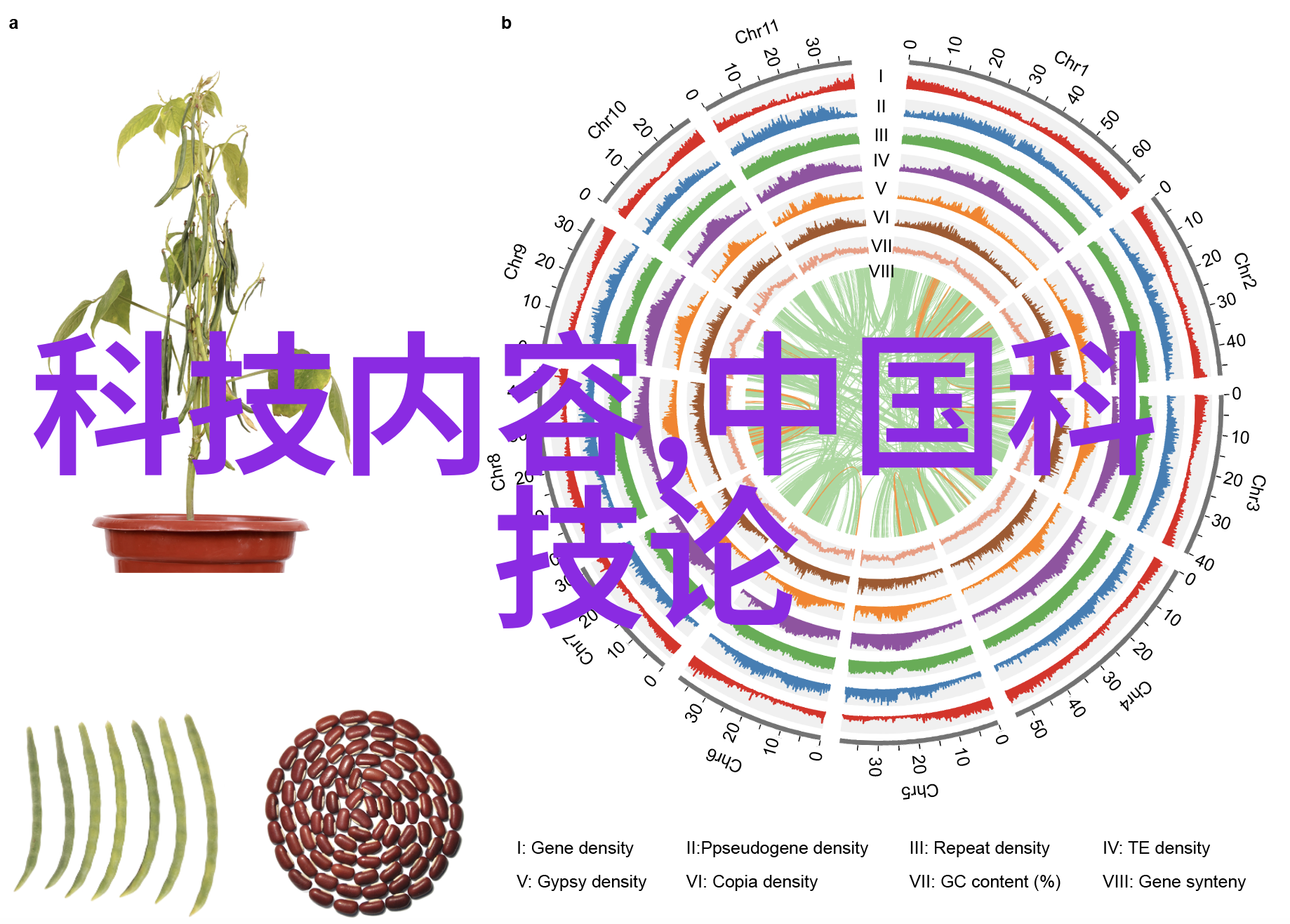 月光下的披风女孩子的第一夜诗意篇章