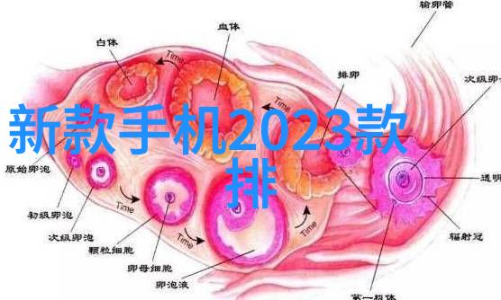 家居装修视觉语言学研究探索空间美学与生活品味的交响