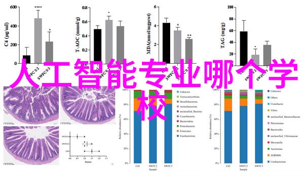 新时代的数字革命探索数码新品的未来趋势