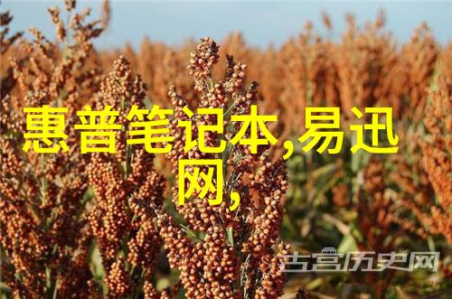 滚筒干燥设备高效节能的食品工业用途