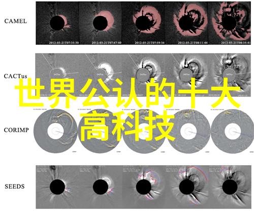 微波炉使用技巧家庭厨房安全操作指南