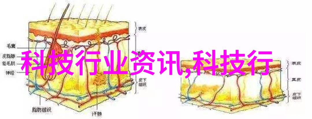 航空航天我看到了未来从喷气发动机到太空探索的奇迹