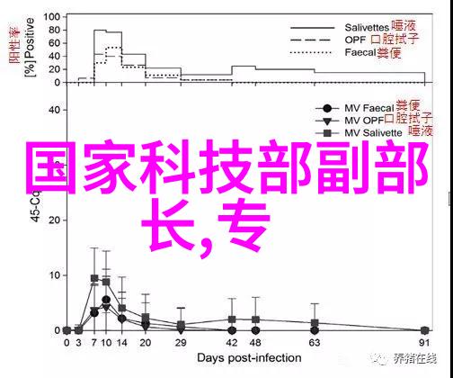 建筑工程质量管理条例确保结构之冠的坚固基石