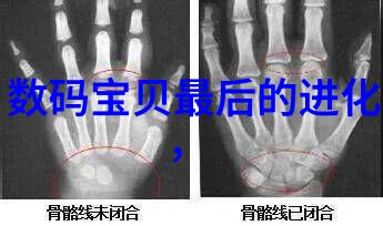 哪些行业或领域最早开始采用seh解决方案