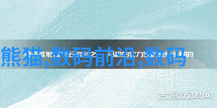 河南省专业技术人员公共服务平台幕后探秘