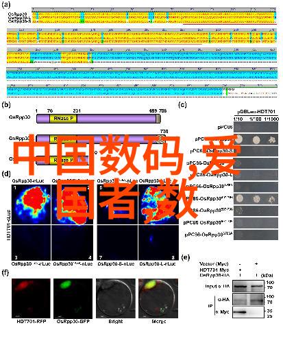 华北地区农产品检测仪器设备厂家提供ET99722COD多参数水质综合测定仪确保品质的反复考量