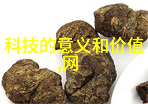 金属环矩鞍填料助力材料的智慧选择