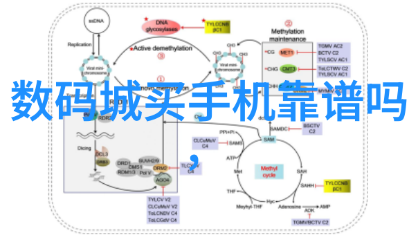 从规划到完工房子自己装修的完整步骤指南