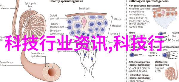 御赐小仵作探案录