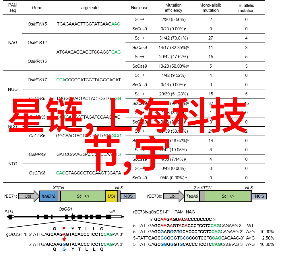 高压蒸汽灭菌食品小型设备手提式热杀菌厨房守护者