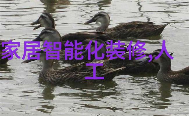 水力大师轻触即响数码之家的便捷操作界面解析