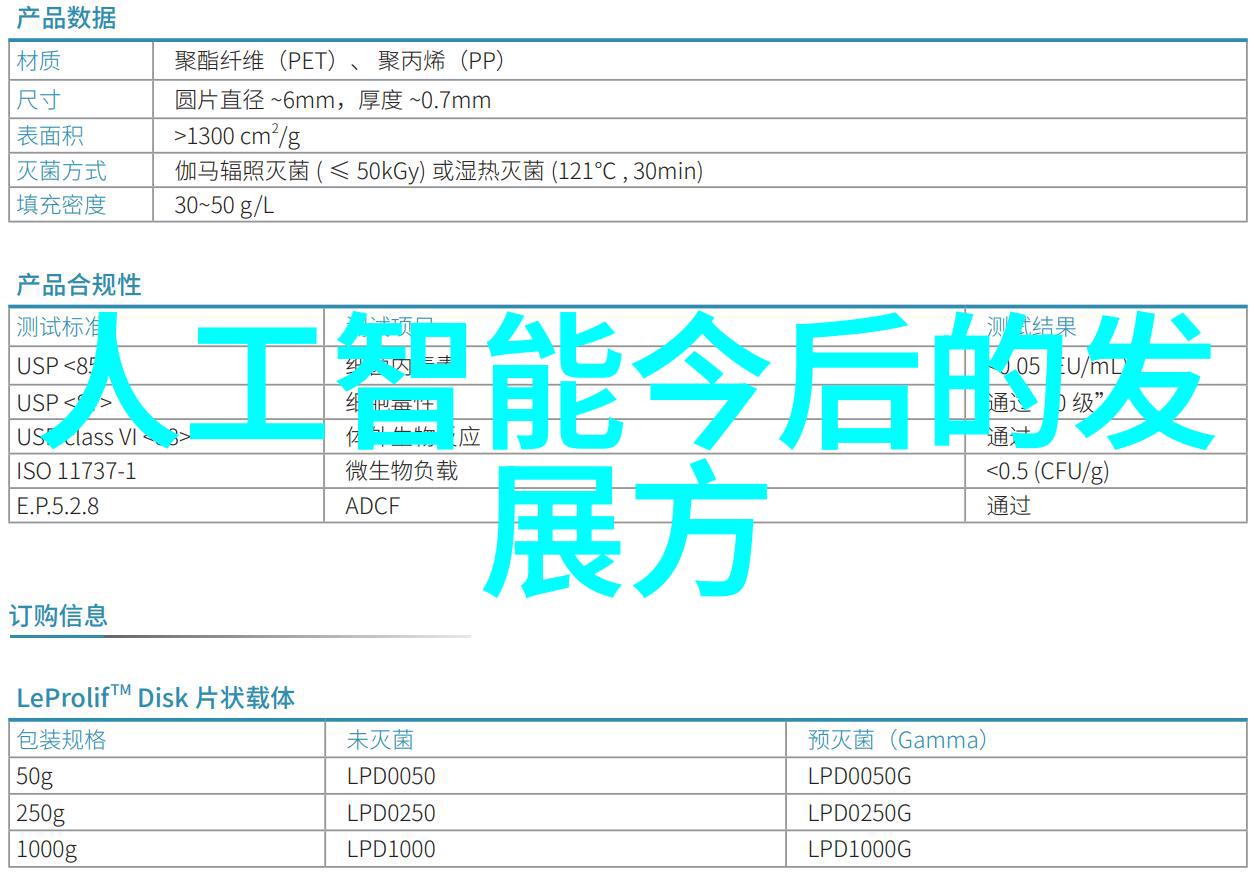 场景观察在现场中寻找有趣且富有意义的视角