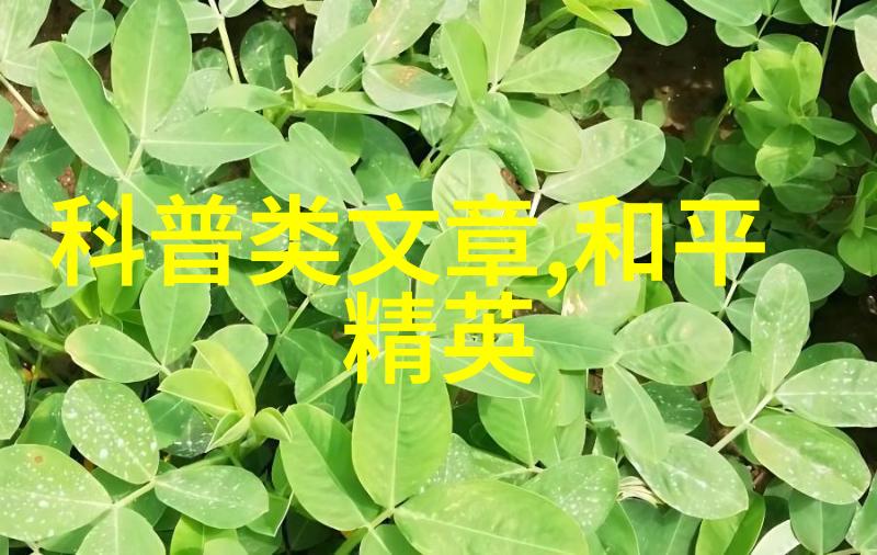 送老师什么花-春风得意送老师金盏花