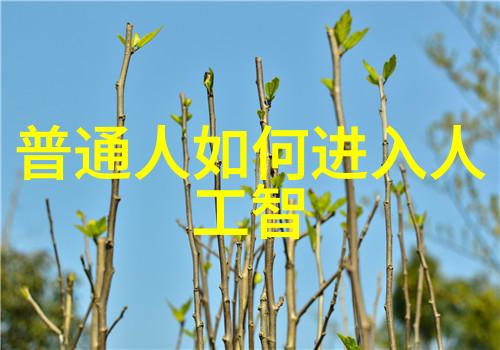 职场日记揭秘高效个人工作写实报告的艺术