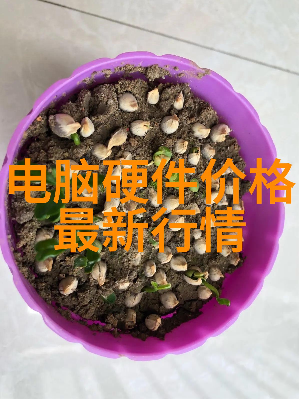 高性能手机速度与力量的完美融合