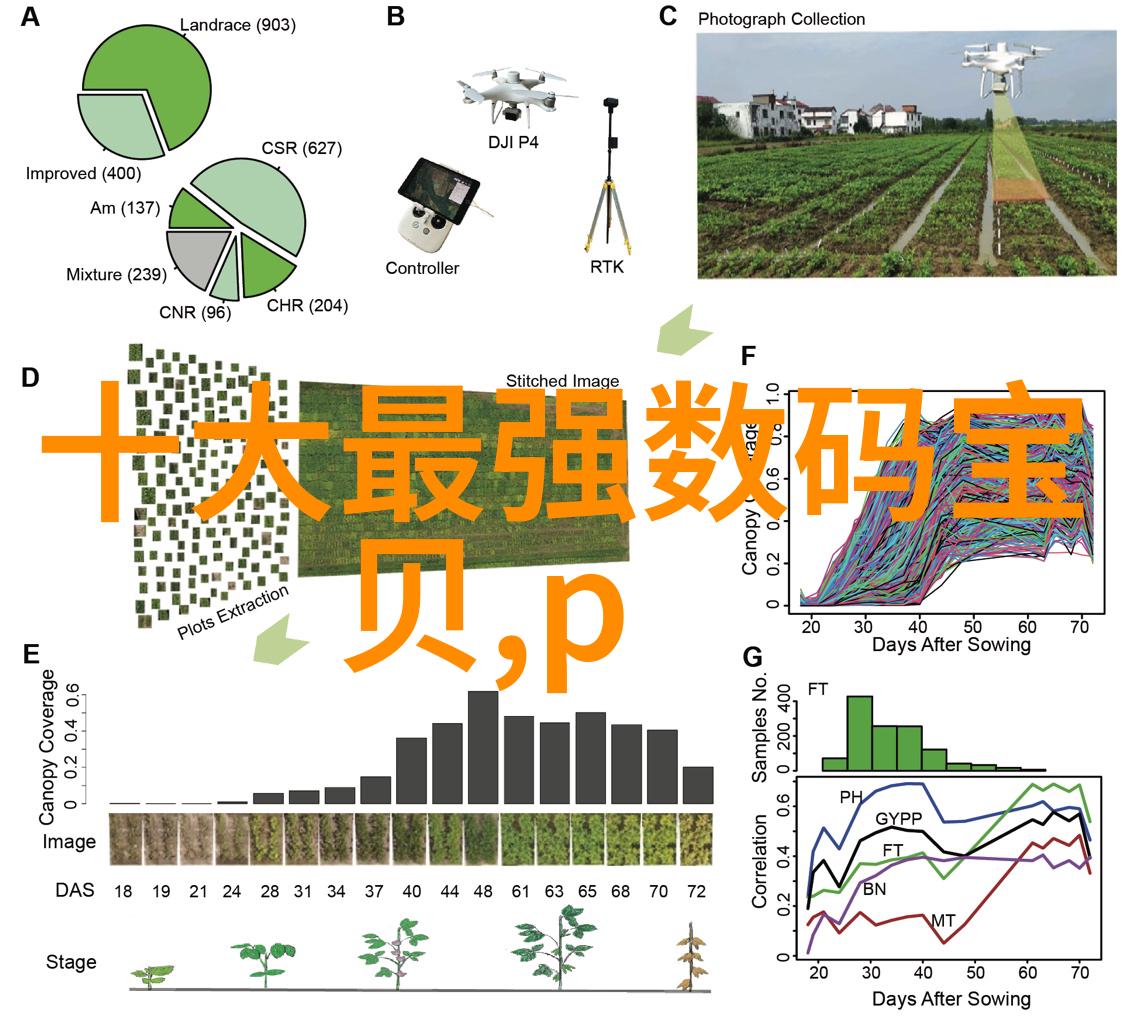 开放式厨房装修效果图温馨明亮的家居生活空间