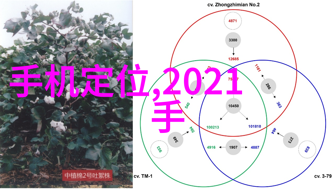 法律精英人工智能如何无法完全取代律师这一职业