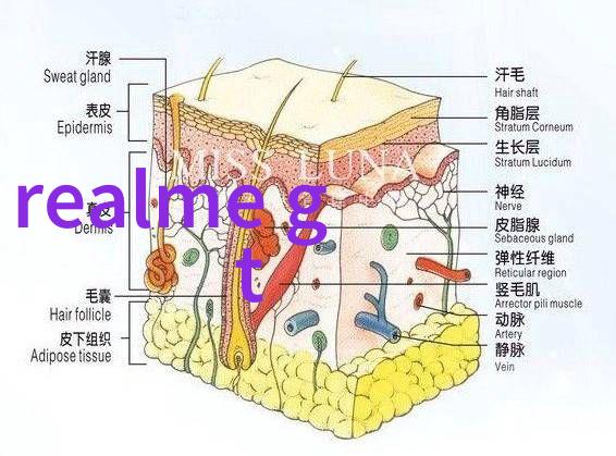 空气净化器是否影响空调制冷效果我们该如何调整