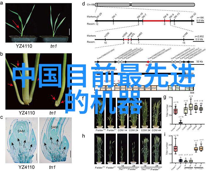 生活小技巧我是如何用一张数码产品照片让朋友们都羡慕不已的