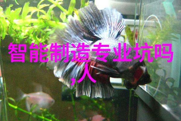 医院生物安全柜中的LSB12LSB18 线性振荡水浴摇床精确摇曳安全呵护您的实验世界