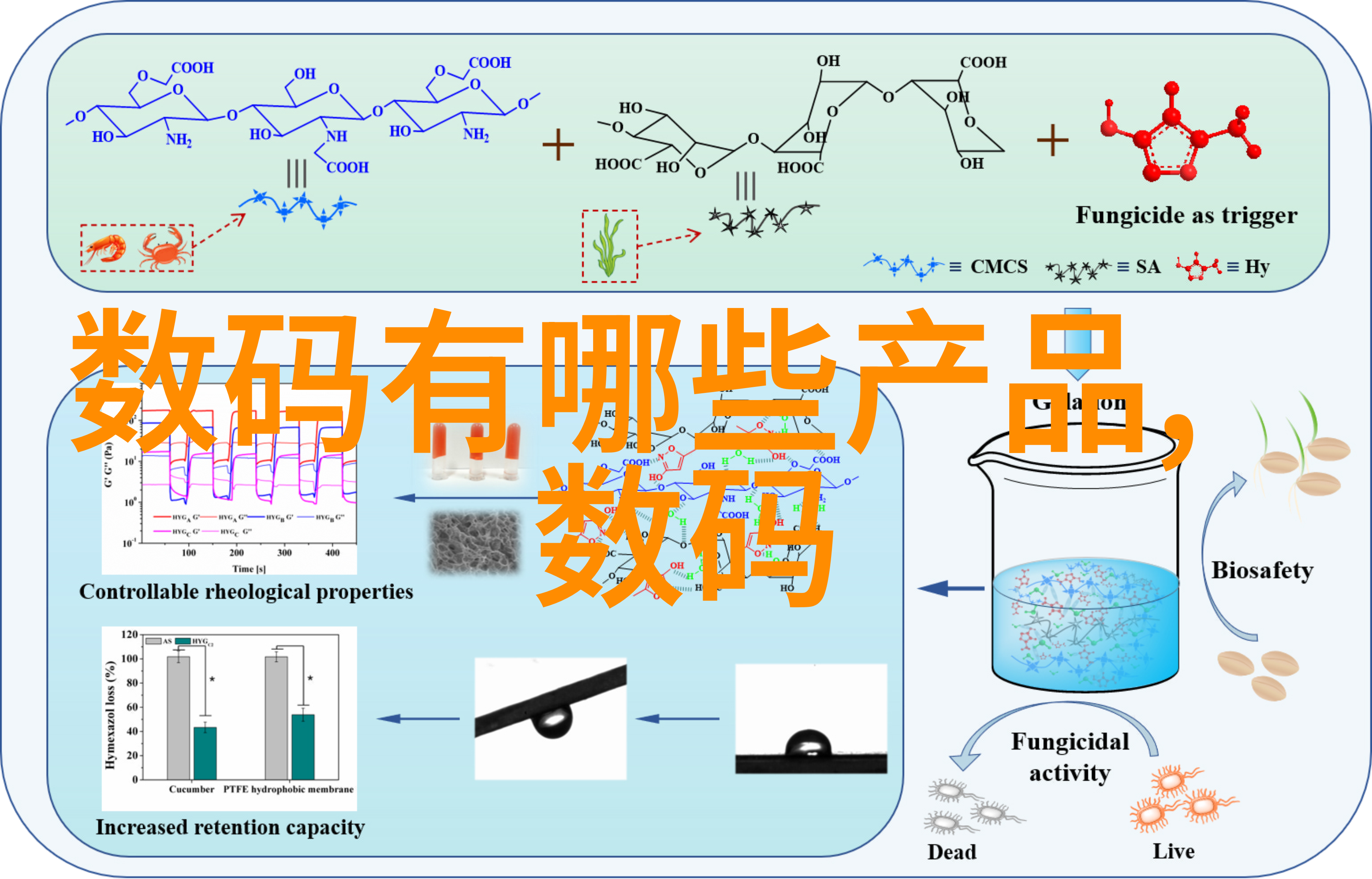 厨房梦工厂创意空间的烹饪艺术