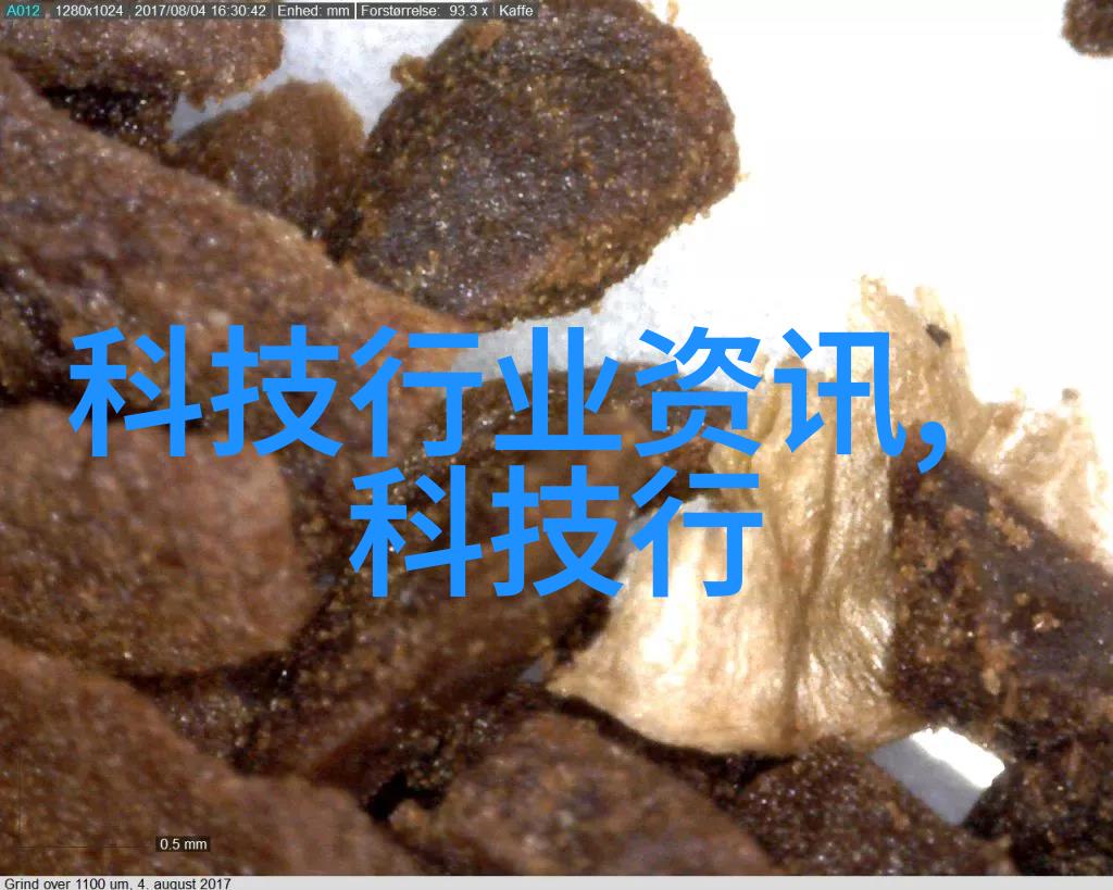 微波炉饭盒便捷的就餐解决方案