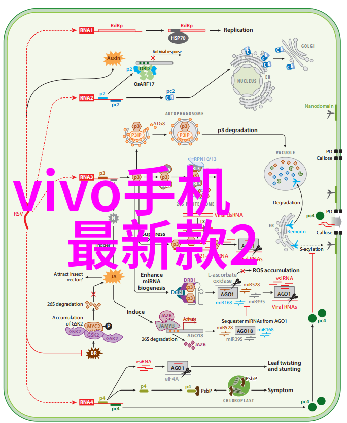 对于复杂环境中的应用特殊设计或功能性更高的是不是更加理想