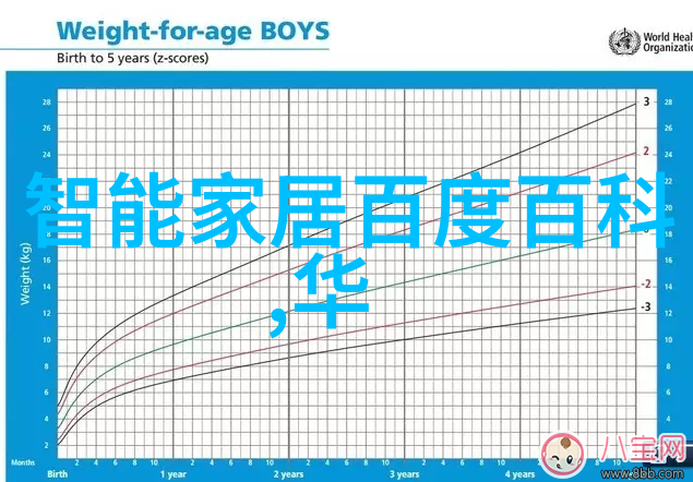 数码摄影教程-精通光线与构图的艺术提升你的数码摄影技巧