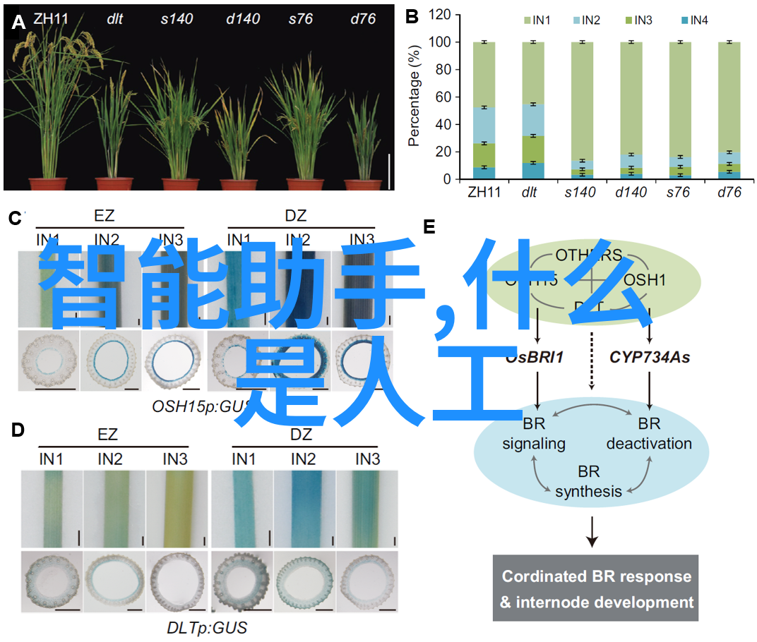 跨越时空共筑梦想郑州财经学院的校友故事