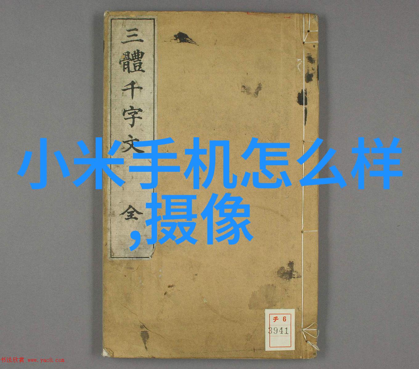 上海警方紧急通报最新一案砍人事件调查进展情报