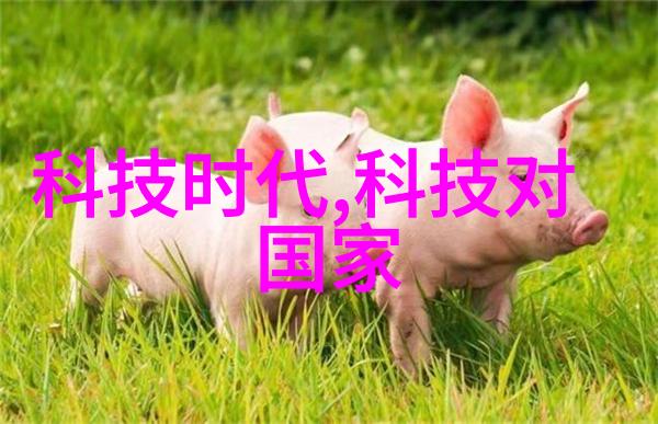 塔尖的秘密填料之谜