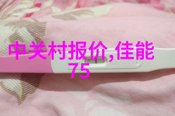 实用主义探索编纂可行性研究报告的艺术与科技