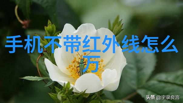 杀菌设备生产厂家专业制造高效抗菌产品的公司