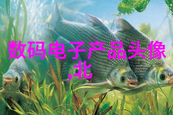 月芽霍云容小说免费阅读幻想奇缘冒险爱情神秘古典