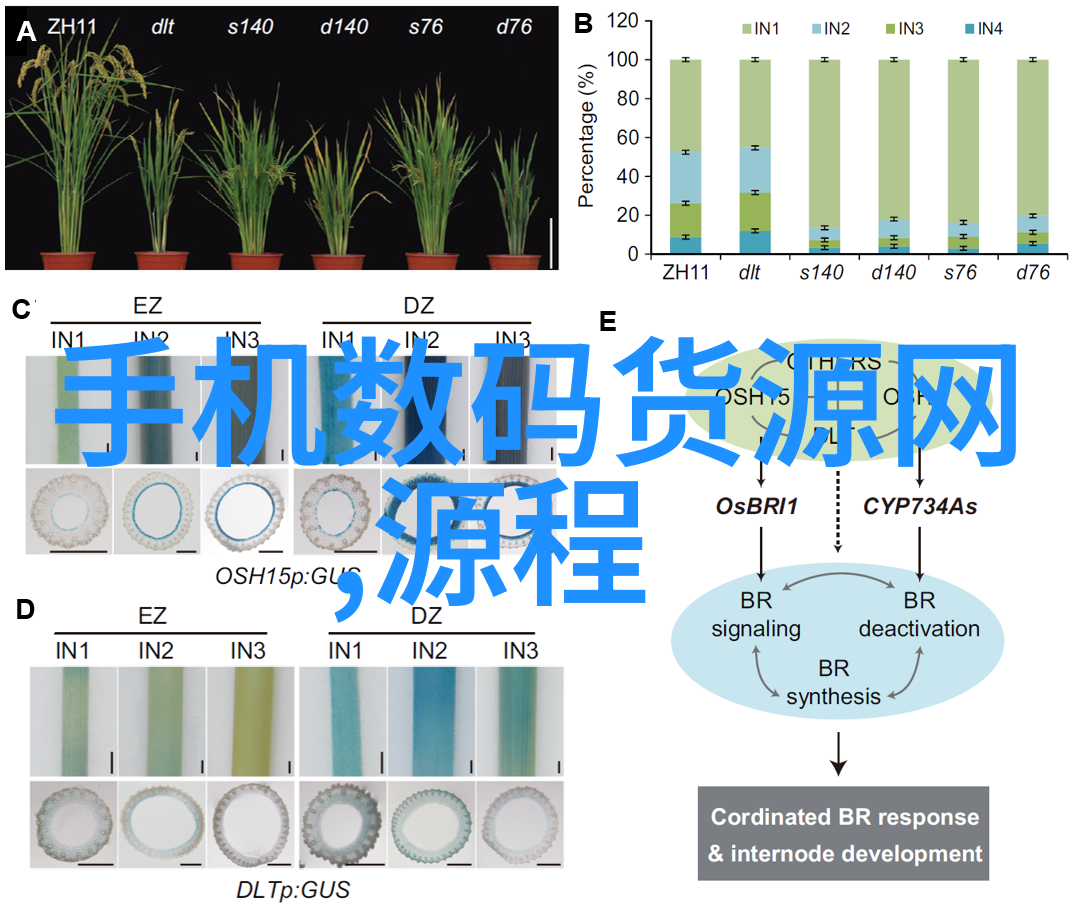 新兴技术如何影响化工制药用气设备的设计和应用