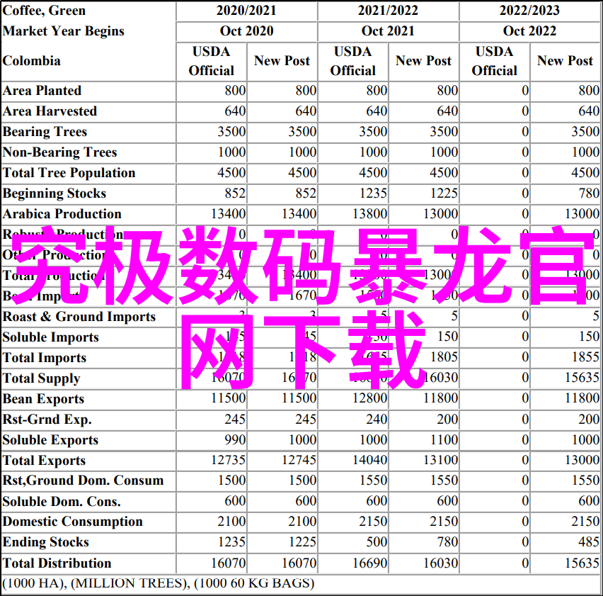 新品上市英文我刚看到的超火爆新款手机你一定要知道它的秘密功能