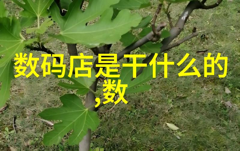 智能化企业的未来创新驱动效率提升