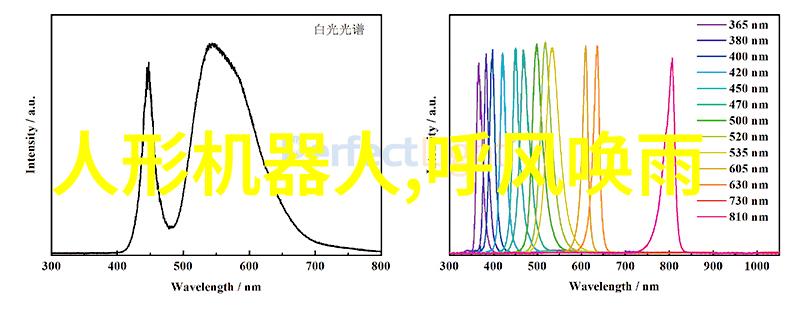 如何选择最适合大面积客厅的装修效果图片