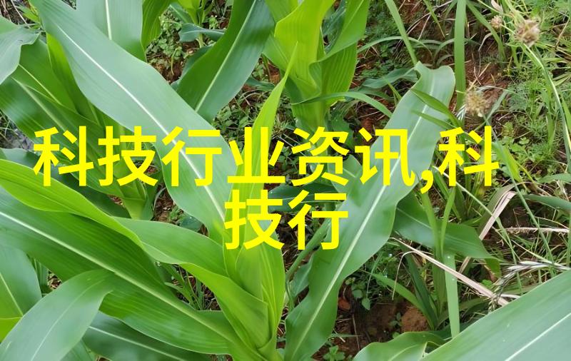 小型食用菌灭菌锅炉我的家用新宠儿保鲜美味的秘诀