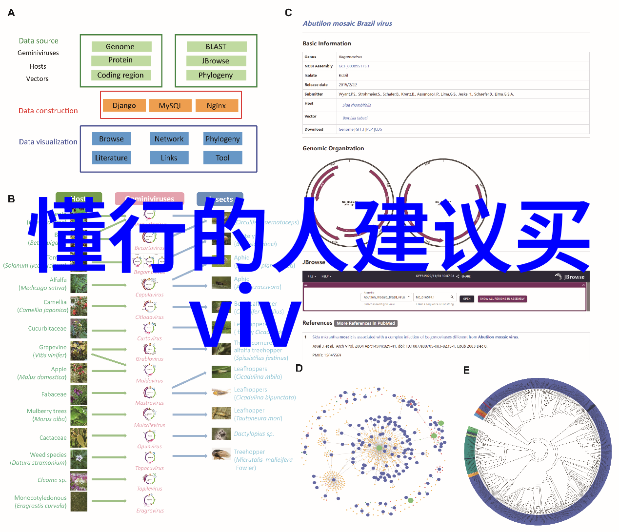 教育公众关于正确识别和处理不良水体现象